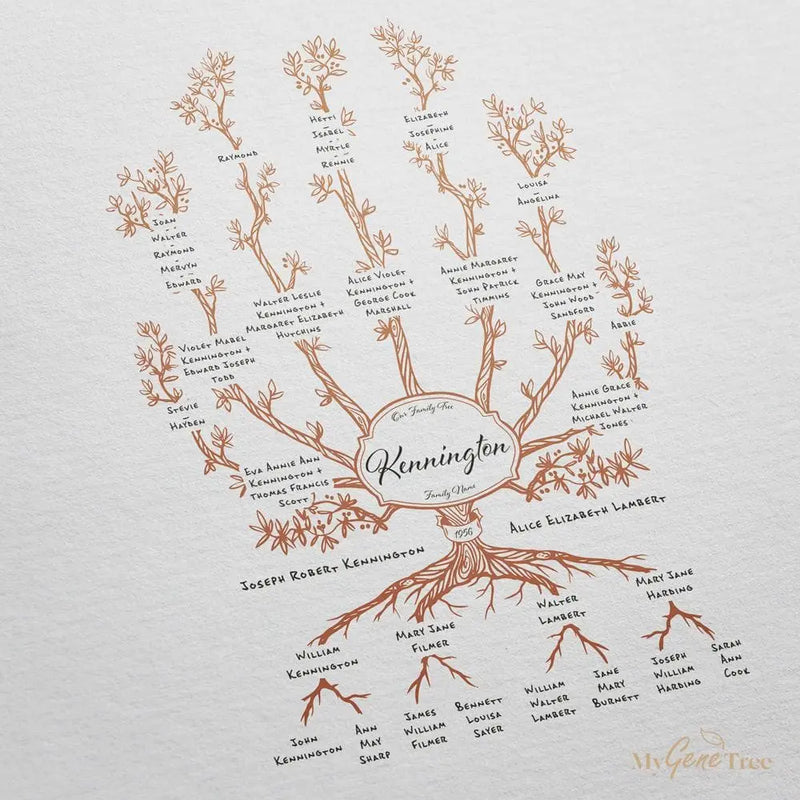 Family Branches Terracotta Digital Family Tree Template MyGeneTree 