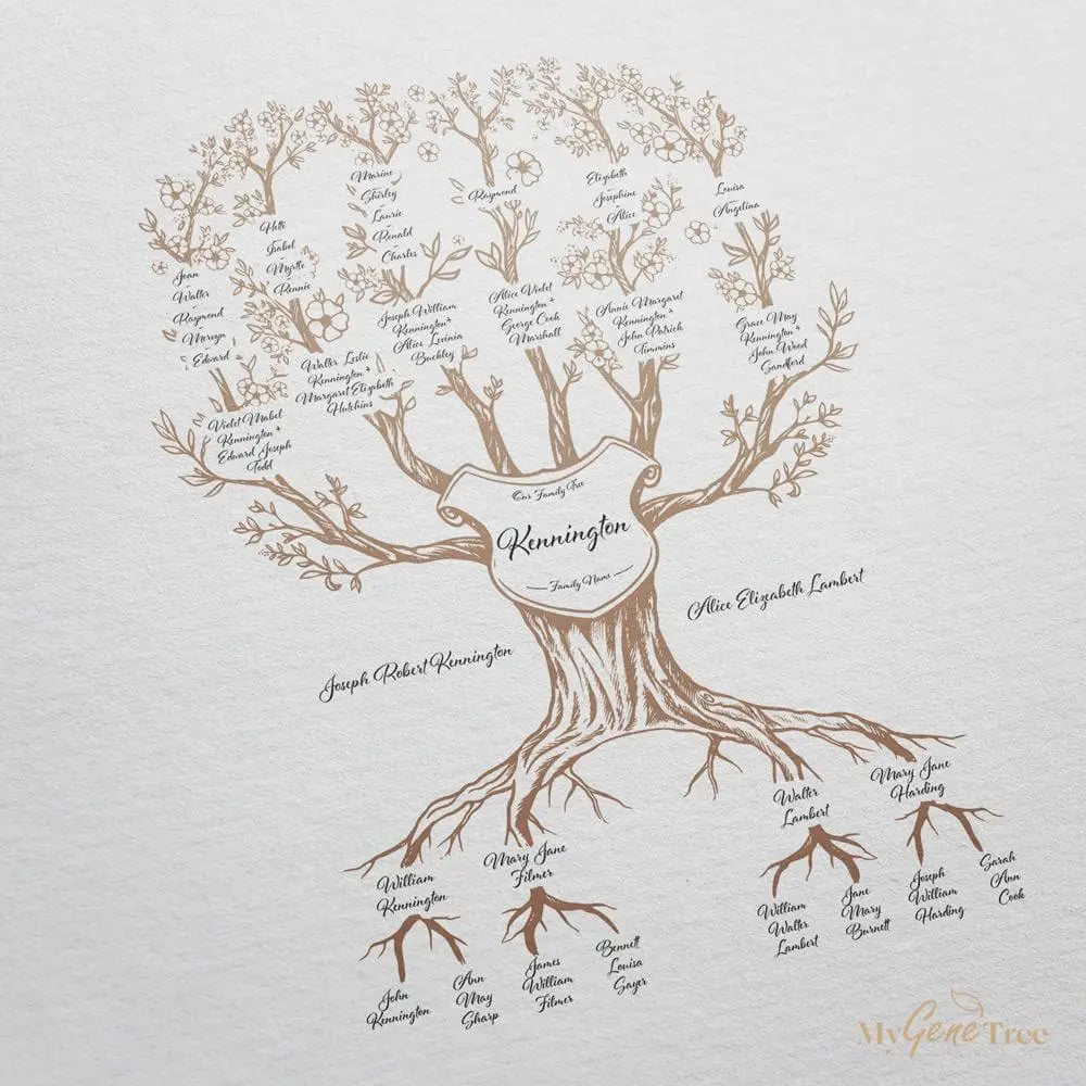 'Limited Edition' Family Branches Taupe Digital Family Tree Template MyGeneTree 