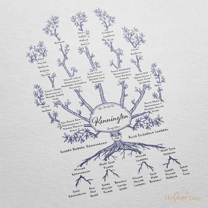 'Limited Edition' Olive Family Branches Bermuda Blue Digital Family Tree Template MyGeneTree 