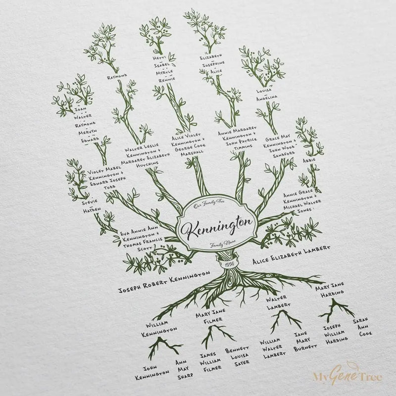 'Limited Edition' Olive Family Branches Moss Green Digital Family Tree Template MyGeneTree 