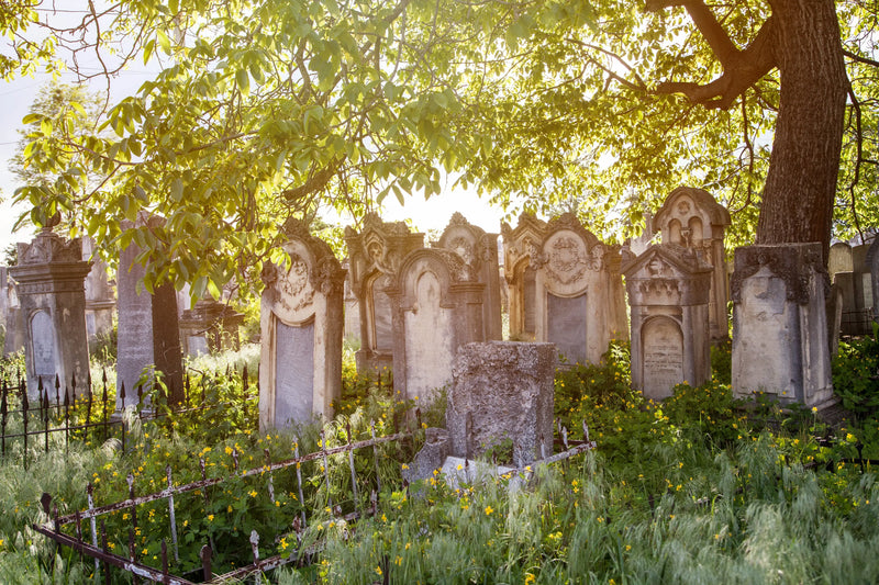 How to search your ancestors grave for clues - MyGeneTree