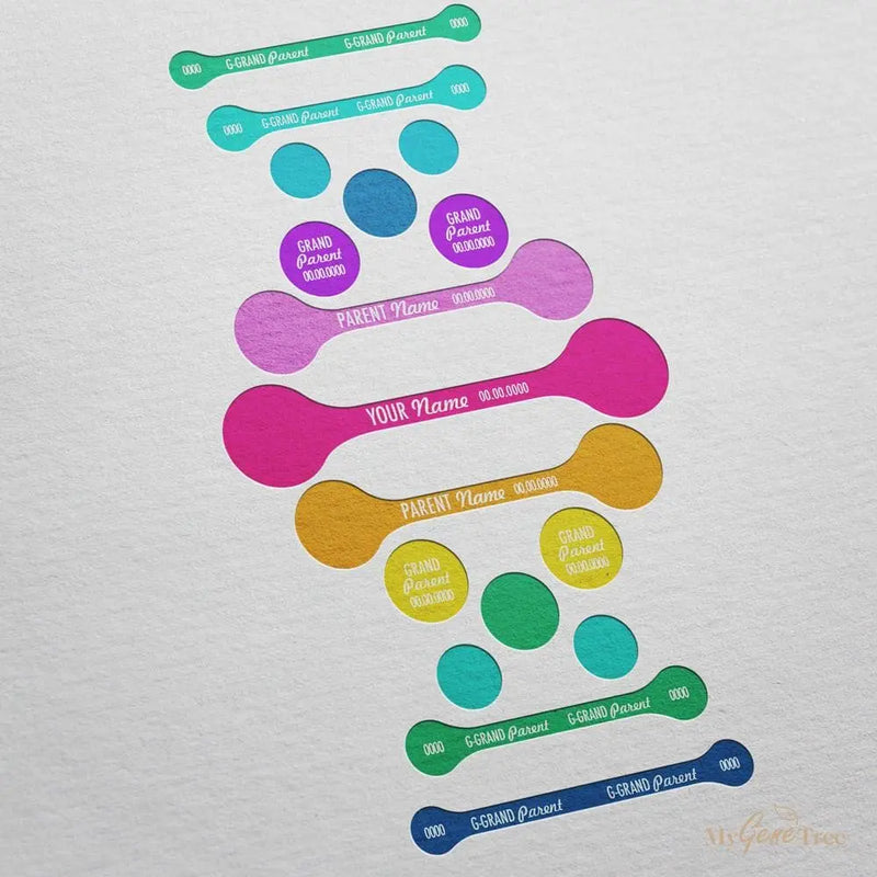 DNA Spectrum Family Tree Customized Digital Family Tree Template mygenetree 