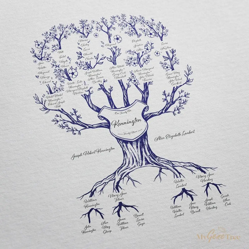 Family Branches Hamptons Blue Digital Family Tree Template MyGeneTree 
