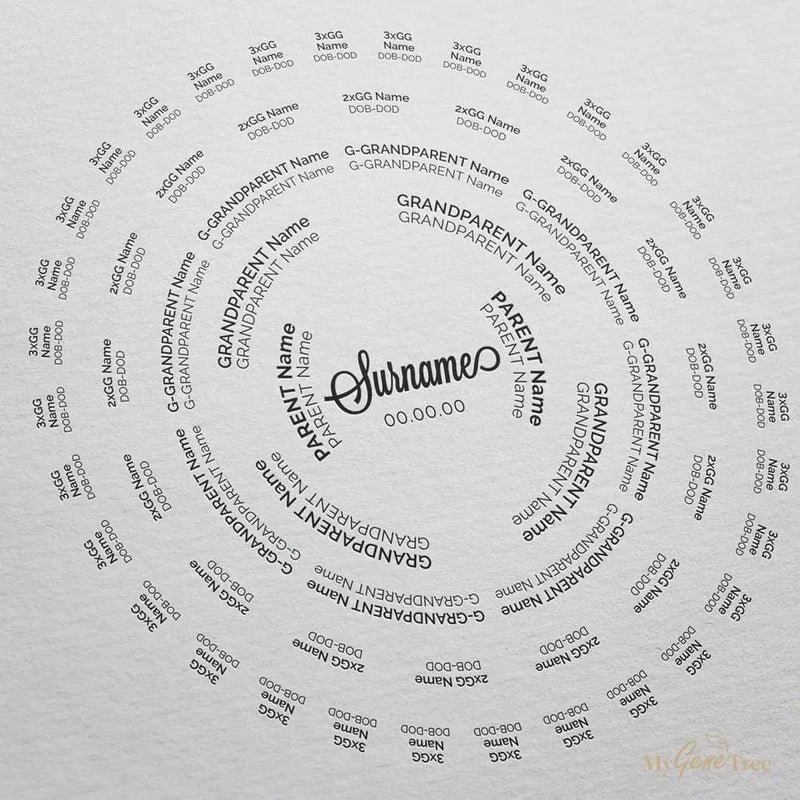 Halo Pure Family Tree Customized Digital Family Tree Template MyGeneTree 