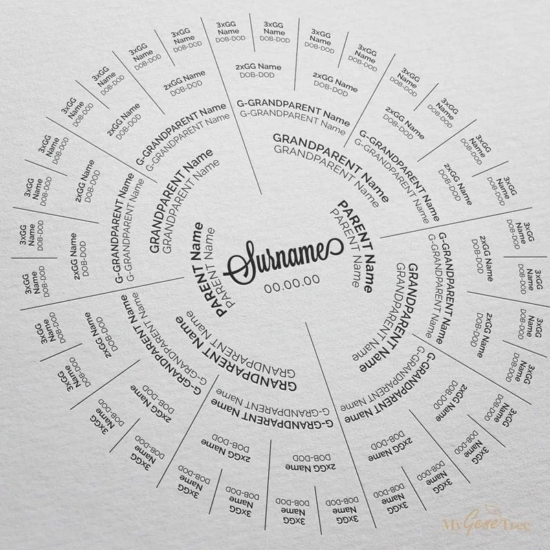 Halo Pure Lined Family Tree Customized Digital Family Tree Template MyGeneTree 