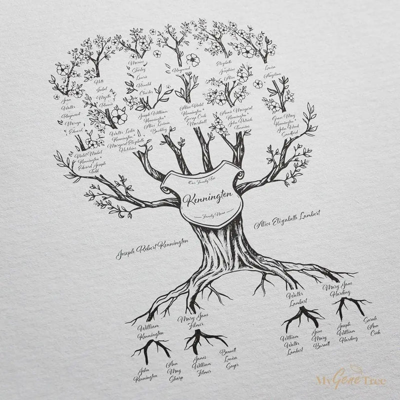 'Limited Edition' Family Branches Black Digital Family Tree Template MyGeneTree 