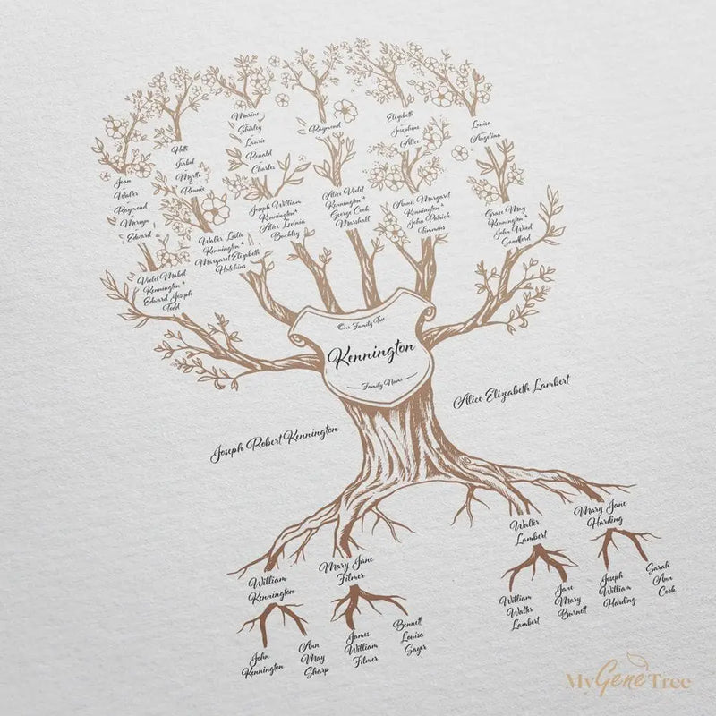 'Limited Edition' Family Branches Taupe Digital Family Tree Template MyGeneTree 