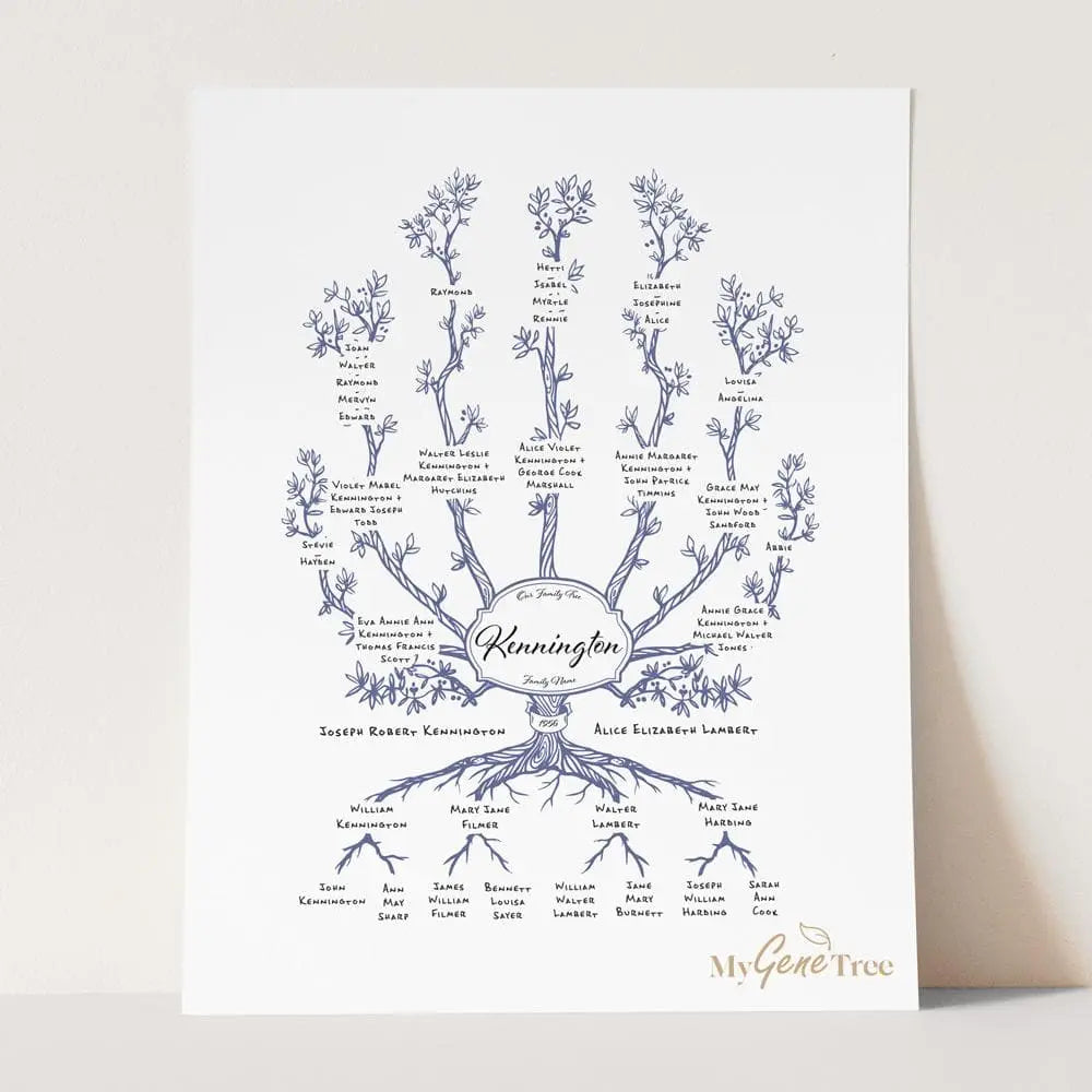 'Limited Edition' Olive Family Branches Bermuda Blue Digital Family Tree Template MyGeneTree 