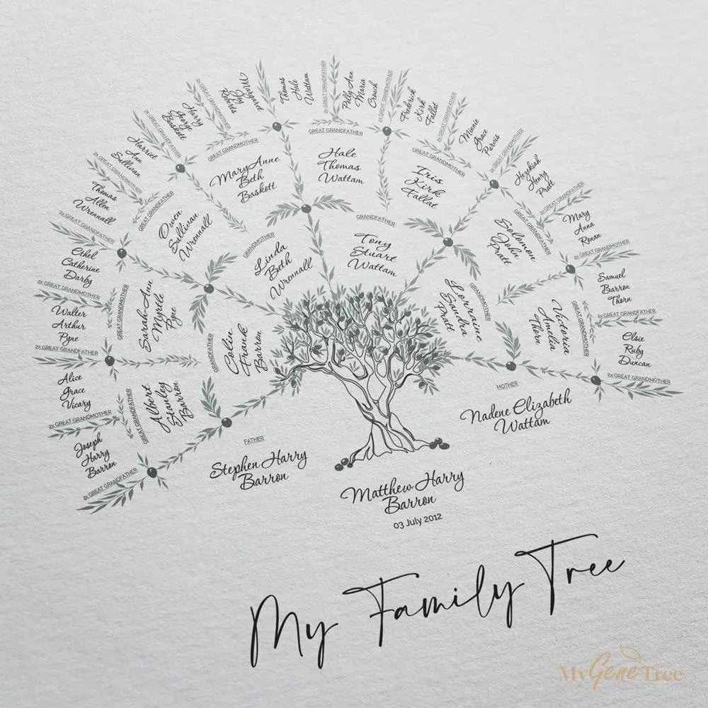 My Olive Family Tree Digital Family Tree Template MyGeneTree 