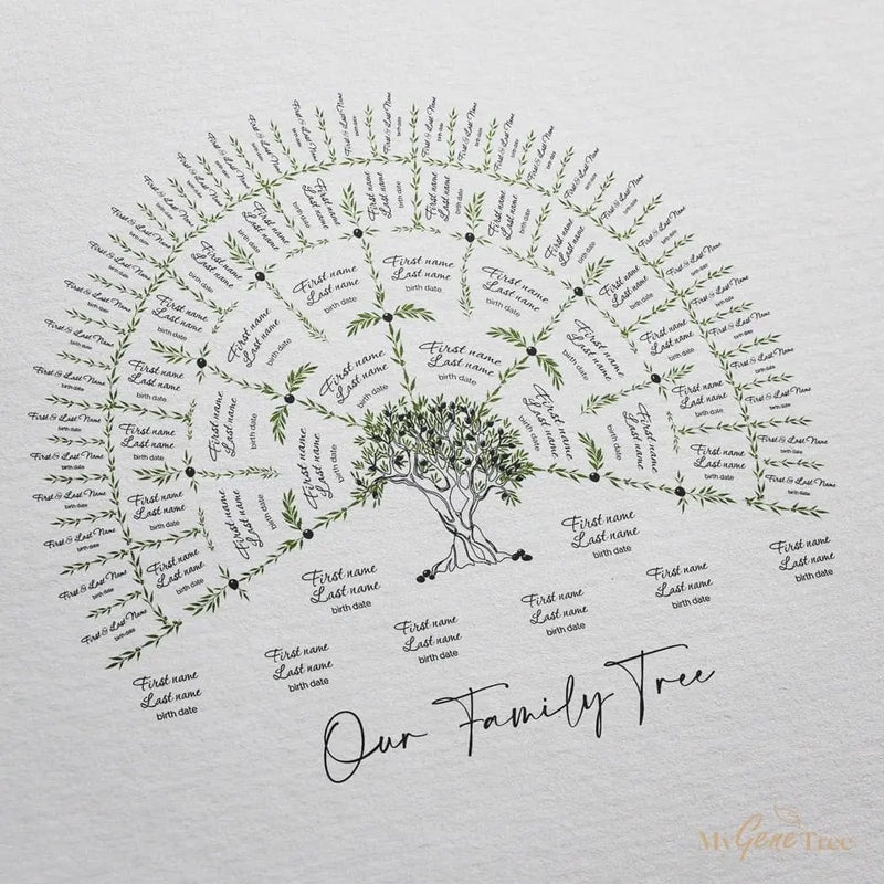 Olive Family Tree Customized Digital Family Tree Template MyGeneTree 