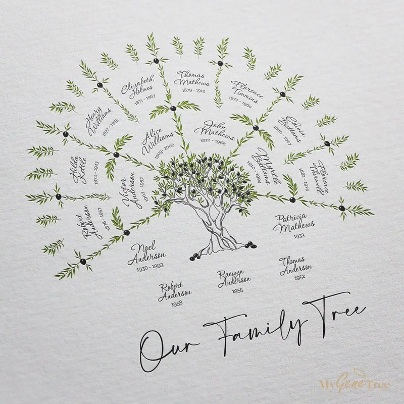 Olive Family Tree small with children Digital Family Tree Template MyGeneTree 