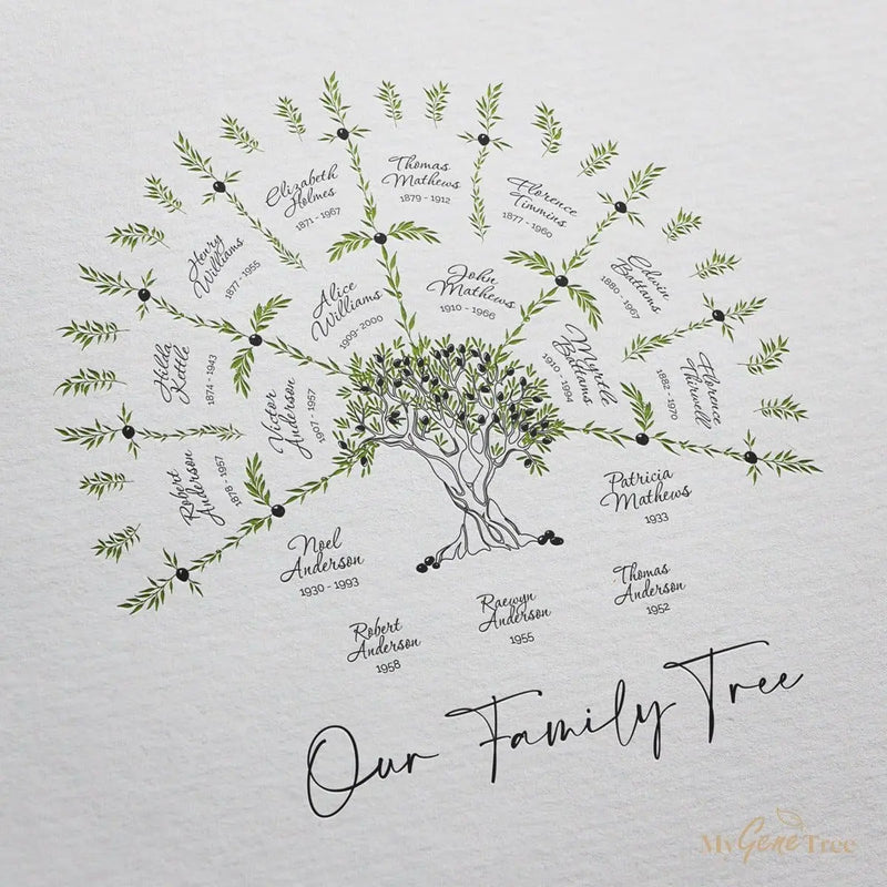 Small Family Tree Drawing