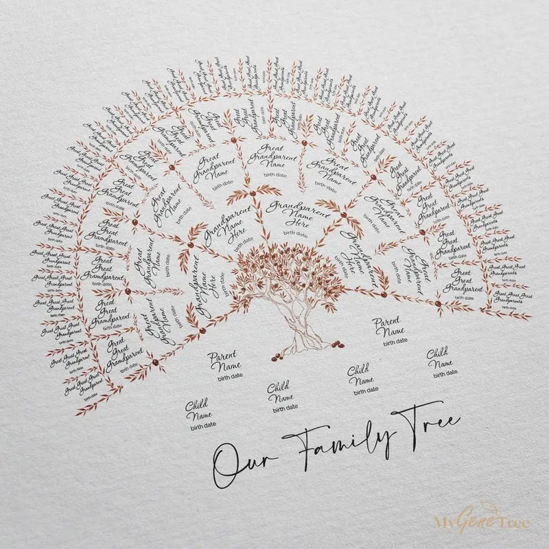 Olive Family Tree Terracotta Digital Family Tree Template MyGeneTree 