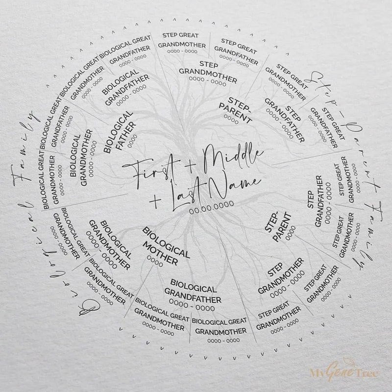 Step-Parent Family Tree Digital Family Tree Template mygenetree 