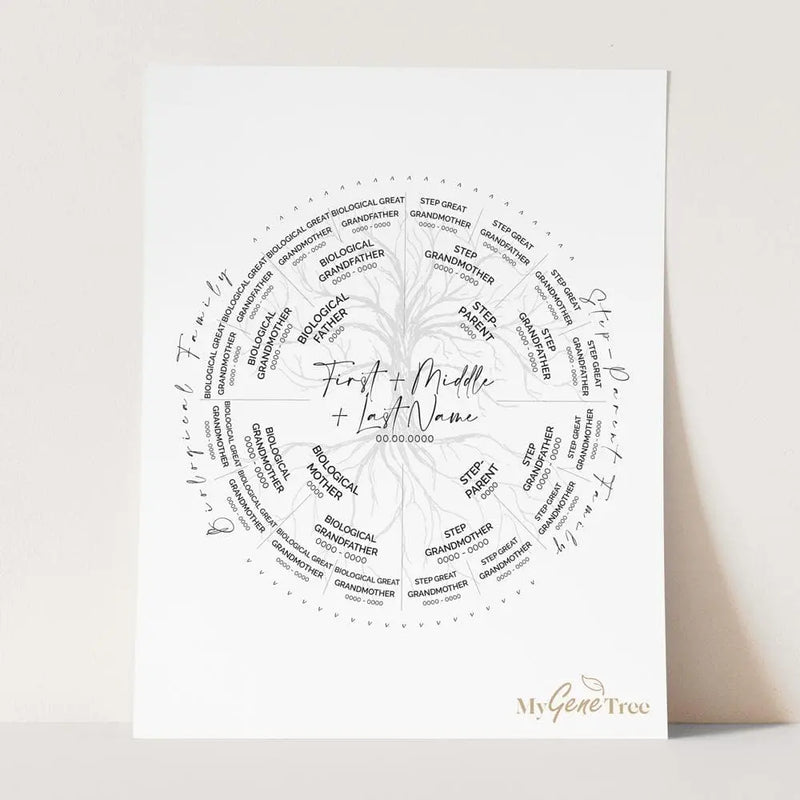 Step-Parent Family Tree Digital Family Tree Template mygenetree 