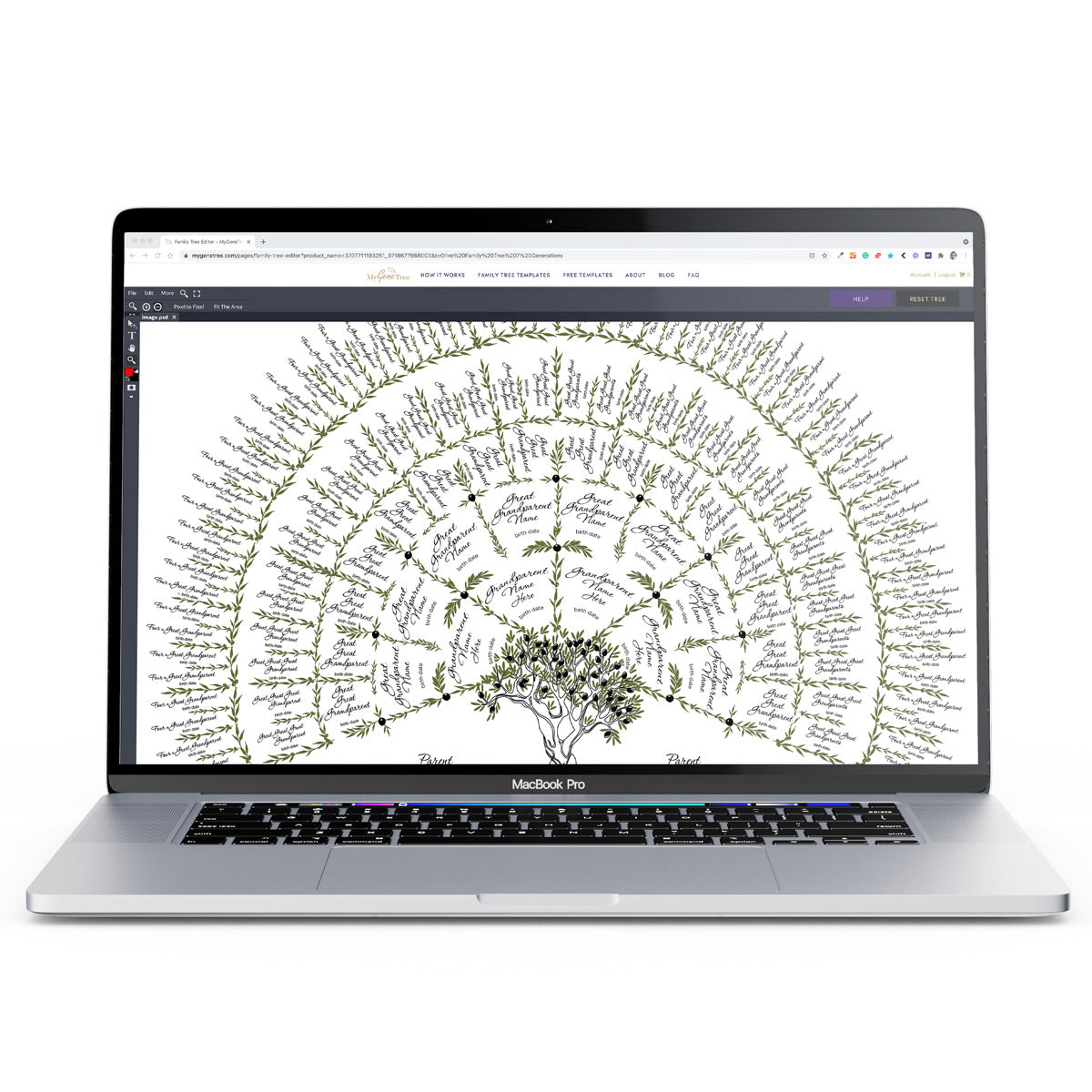 Family Tree Computer Example How To Draw Family Tree On Computer